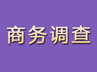 通州区商务调查